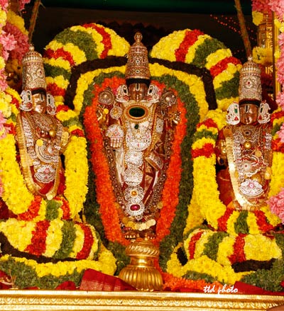 Sarvabhoopala-Vahanam