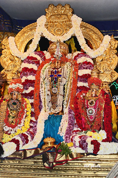 Sri Govindaraja Swamy