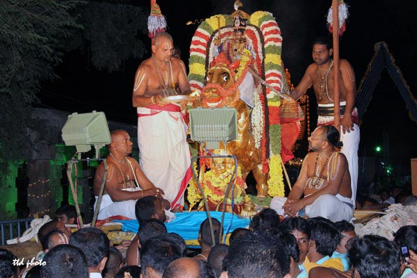Sri-Kalyana-Venkateswara-Swamy-aswa-vahanam