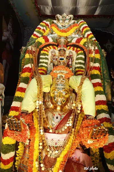 garuda-vahanam-Srinivasa-Mangapuram