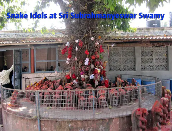 Snake-Idols-Sri-Subrahmanyeswar-Swamy