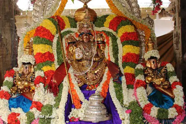 Sri-Govinda-Raja-Swamy-Temple-dwajarohanam