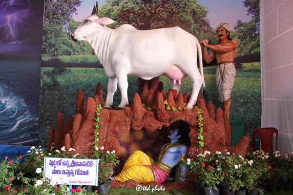 Cow-Milk-Srinivasa