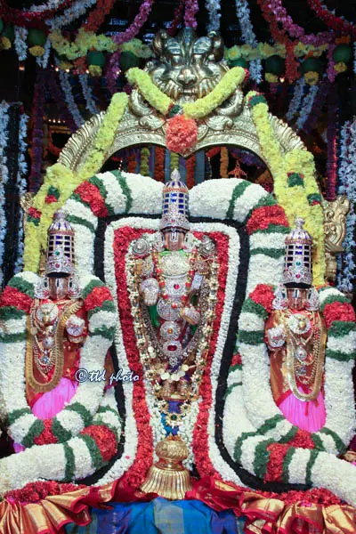 Venkateswara swamy along with Sridevi and Bhudevi