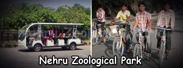 Hyderabad Nehru Zoological Park