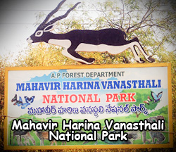 Mahavir Harina Vanasthali National Park