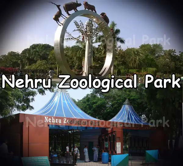Nehru-Zoological-Park