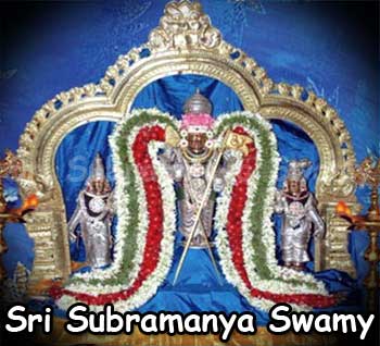 Sri Subramanya Swamy Temple Padmarao Nagar