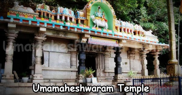 Achampet-Umamaheshwaram-Temple