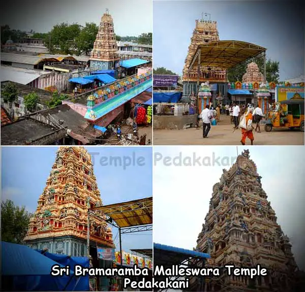 Pedakakani Sri Bramaramba Malleswara Temple