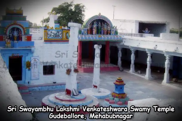Sri Swayambhu Lakshmi Venkateshwara Swamy Temple