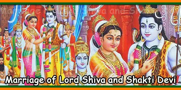 Marriage of Lord Shiva and Shakti Devi