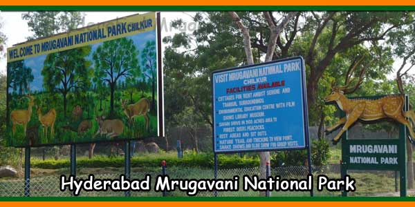 Hyderabad Mrugavani National Park