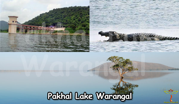 pakhal-lake-warangal