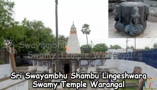 sri-swayambhu-shambu-lingeshwara-swamy-temple-warangal