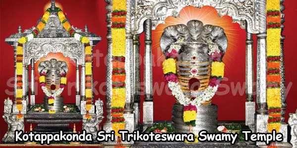 kotappakonda-sri-trikoteswara-swamy-temple 