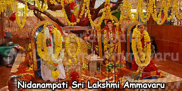 Nidanampati Sri Lakshmi Ammavaru