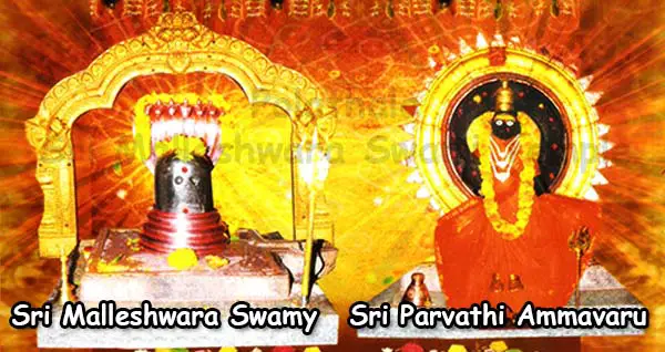 sri-malleshwara-swamy-parvathi-ammavaru-polathala