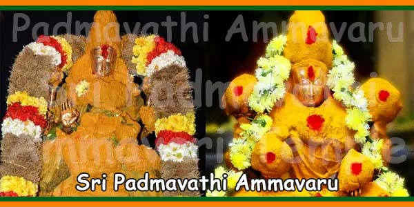 Sri Padmavathi Ammavari Temple Tiruchanoor