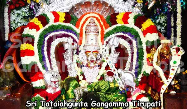 Sri Tataiahgunta Gangamma Tirupati