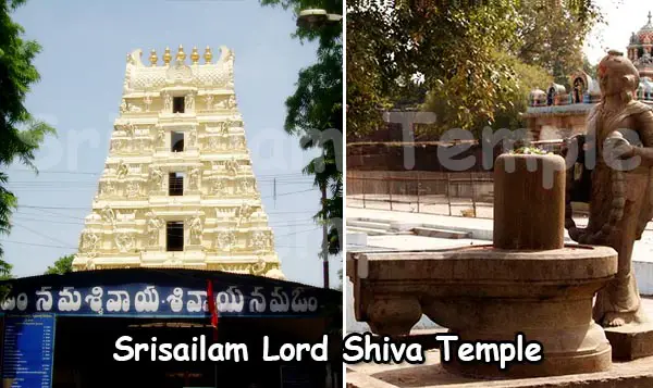 Srisailam Lord Shiva Temple