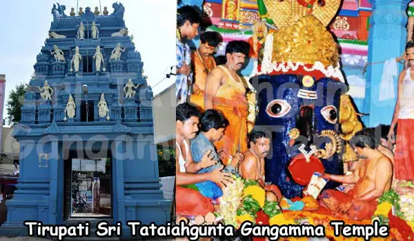 Tirupati Sri Tataiahgunta Gangamma Temple