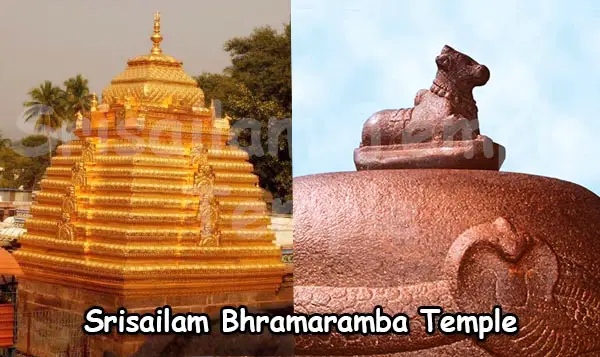 srisailam bhramaramba temple