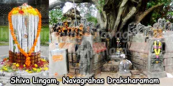 Shiva Lingam, Navagrahas Draksharamam