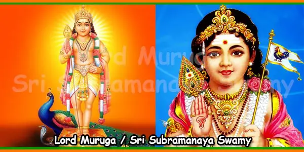 Lord Muruga - Sri Subramanaya Swamy