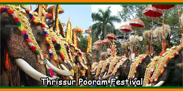 Thrissur Pooram Festival