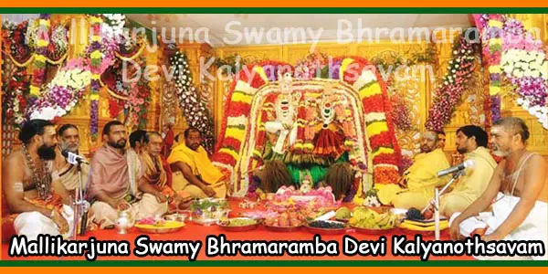 Srisailam Mallikarjuna Swamy Bhramaramba Devi Kalyanothsavam