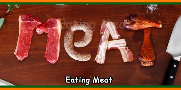 Why We Should Not Eat Meat? -