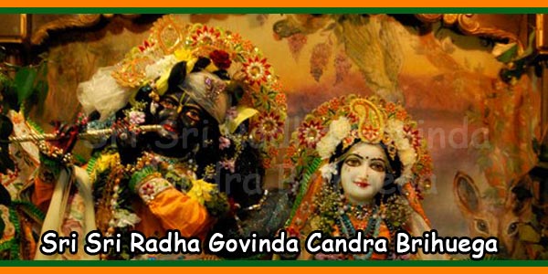 Sri Sri Radha Govinda Candra Brihuega