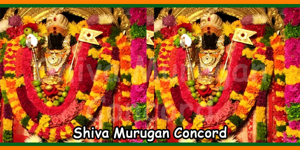 Shiva Murugan Concord