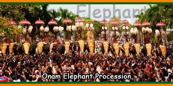Onam Elephant Procession