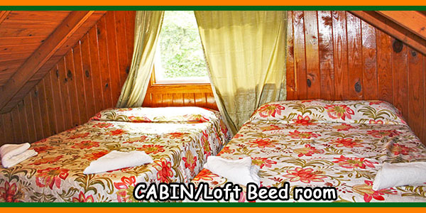 CABIN-Loft Beed room