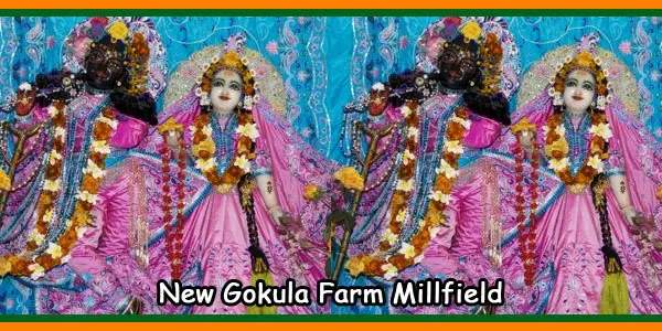 New Gokula Farm Millfield
