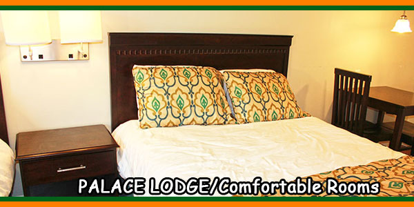 PALACE LODGE-Comfortable Rooms
