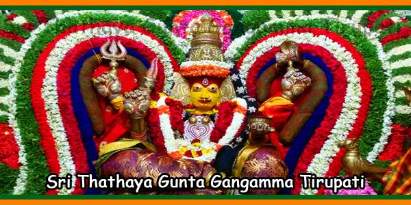 Sri Thathaya Gunta Gangamma Tirupati