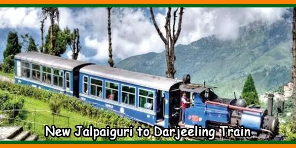 New Jalpaiguri to Darjeeling Train