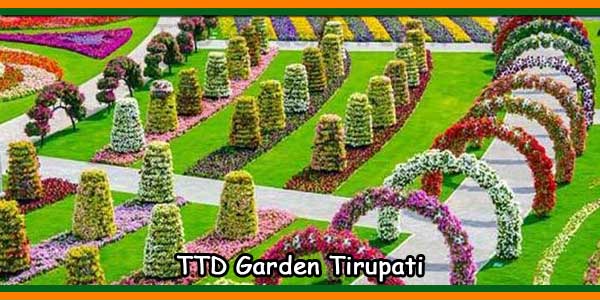 TTD Garden Tirupati