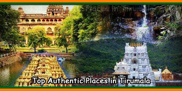 Top Authentic Places in Tirumala
