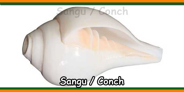 Sangu - Conch