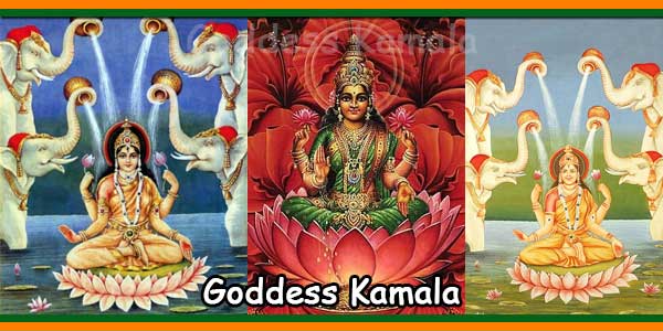 Goddess Kamala