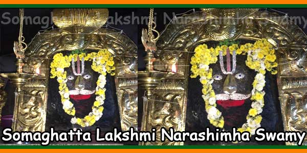 Somaghatta Lakshmi Narashimha Swamy