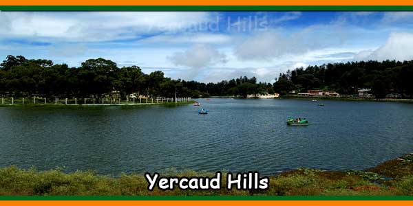 Yercaud Hills