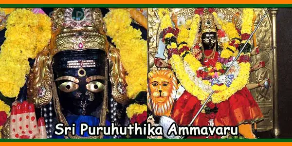 Pithapuram Sri Puruhuthika Ammavaru