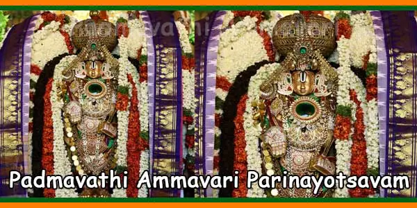 Padmavathi Ammavari Parinayotsavam