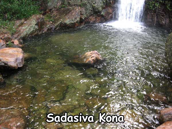 Sadasiva_Kona