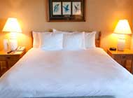 hotel-brundavan-residency-standard-room-AC